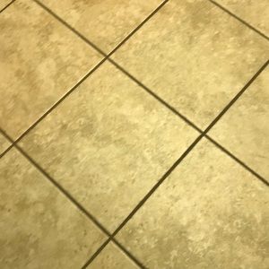 Meet your Posher, Steve